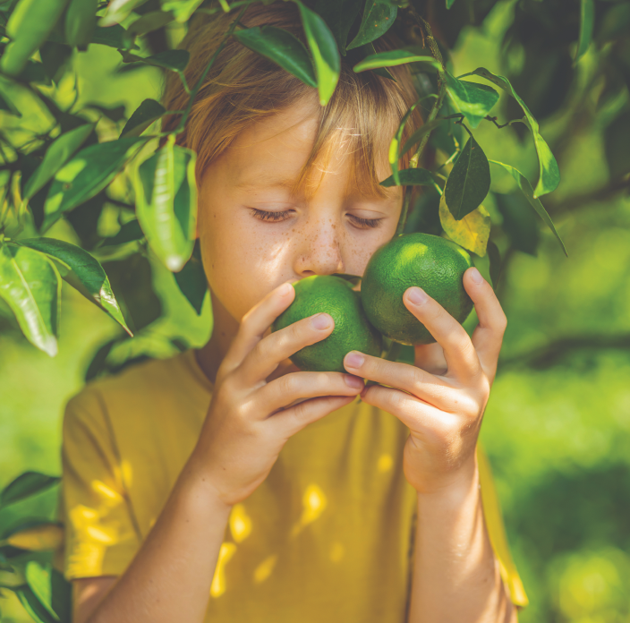 Ritminde Yaşamak Ne Demek?